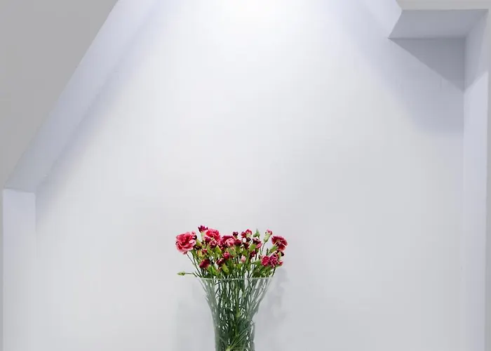 Appartement Molucano *