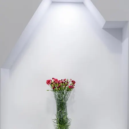 Lägenhet Molucano *